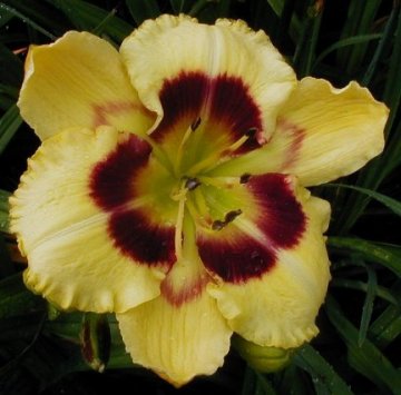 Photo of DOC McCARTHY MEMORIAL